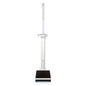 Seca 799 Column Scales