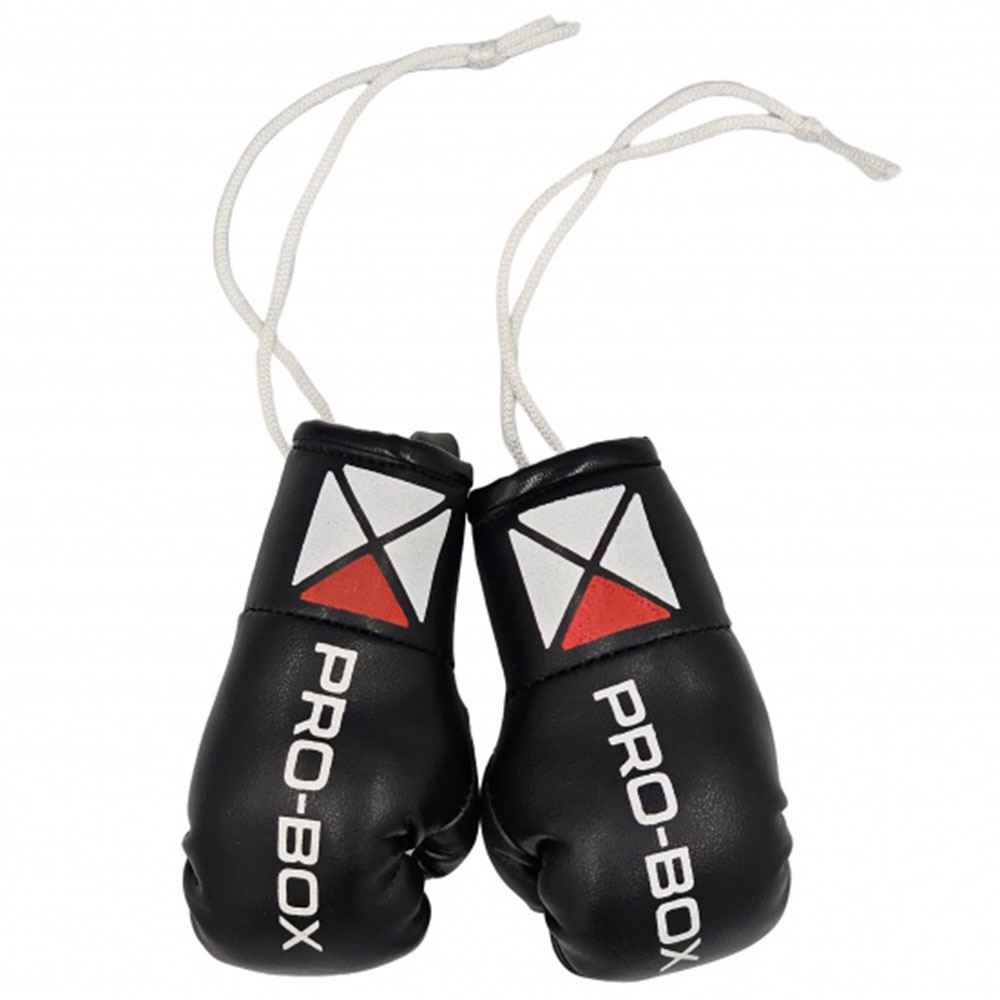 Pro Box Leather Miniature Boxing Gloves II