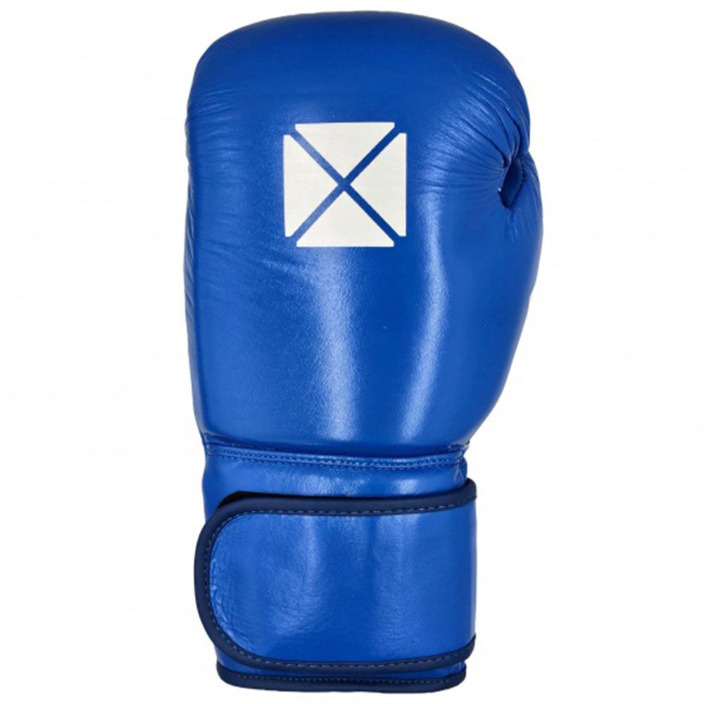 Pro Box Leather Essential Hook & Loop Boxing Gloves II