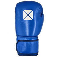 Thumbnail for Pro Box Leather Essential Hook & Loop Boxing Gloves II