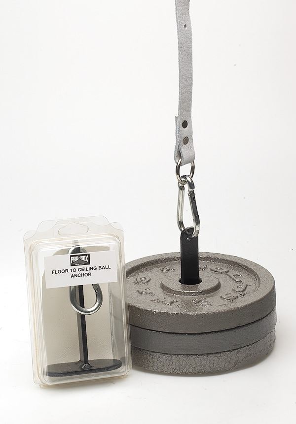 Pro Box Floor To Ceiling Anchor Plate
